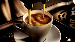 6 Best Commercial Espresso Machines of 2021